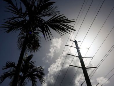 Silhouetted palm trees and power lines against a bright sunlit sky with clouds.