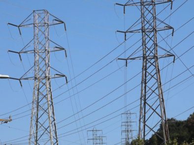 Two tall electricity pylons with power lines against a clear blue sky, surrounded by trees.