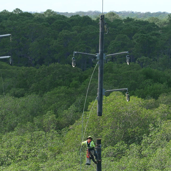 A worker in high-visibility clothing is climbing a utility pole amidst a forested area, performing maintenance work.