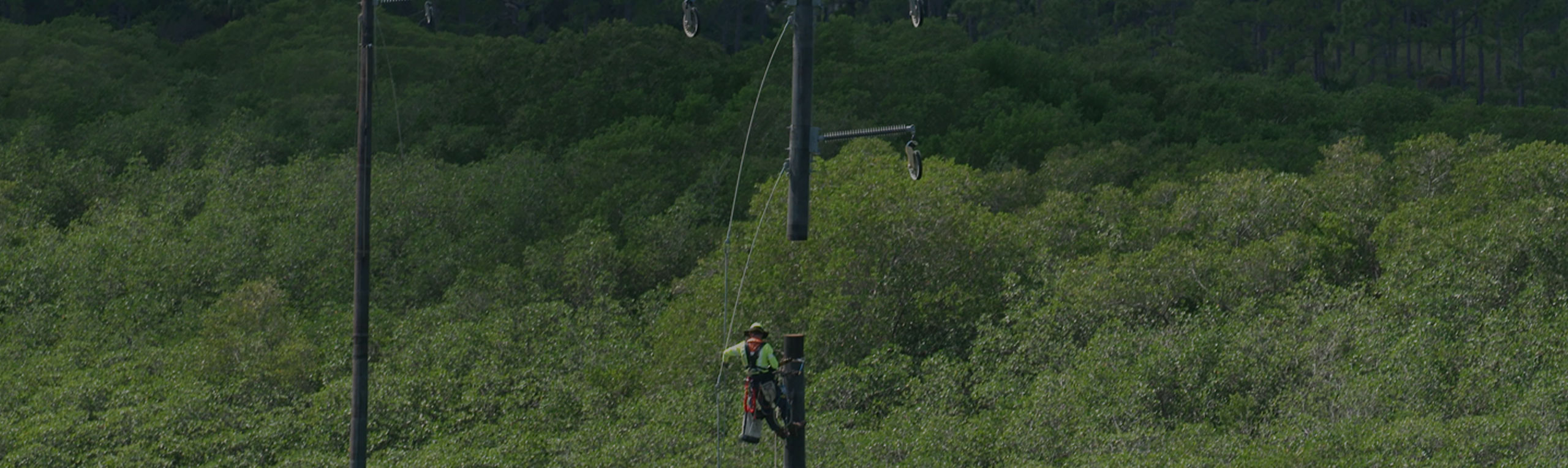 Florida Power and Light - Eldora-Finca-Heritage