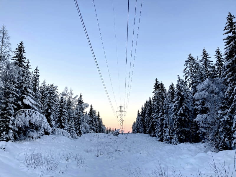 Snow-covered landscape with tall trees on either side and power lines running through the center under a clear sky.